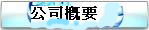 公司概要