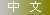 中文
